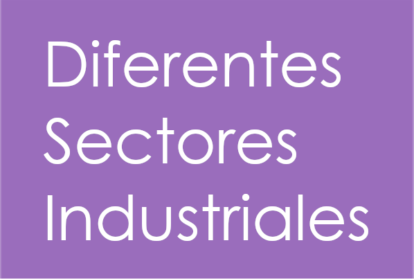 Enfoque especializado según sector industrial